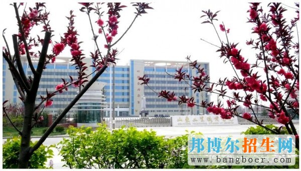 山東工業(yè)職業(yè)學院學院北門7961