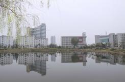 安徽國(guó)防科技職業(yè)學(xué)院“柳”戀湖光倒影5094
