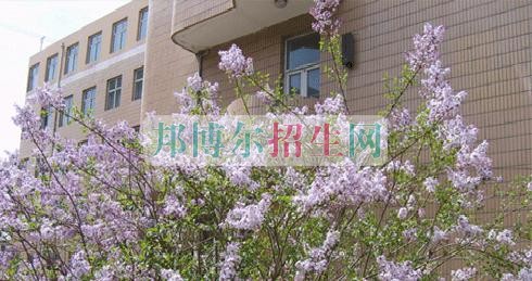 山西國際商務(wù)職業(yè)學院招生辦聯(lián)系電話