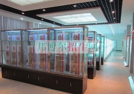 益陽(yáng)醫(yī)學(xué)高等?？茖W(xué)校