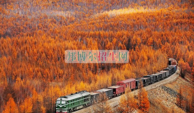 哪個(gè)大專(zhuān)學(xué)校的鐵道工程技術(shù)專(zhuān)業(yè)好