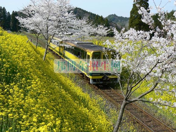 女生學(xué)鐵道工程技術(shù)專(zhuān)業(yè)怎么樣