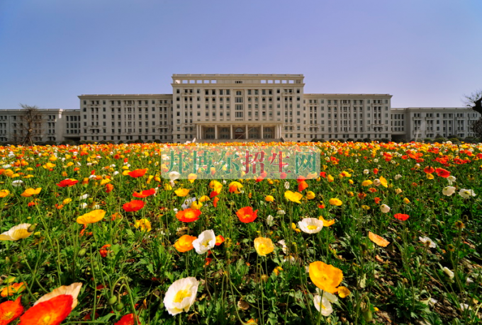 高考落榜學(xué)什么專(zhuān)業(yè)好