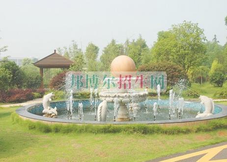 成都哪些學校有軟件技術(shù)
