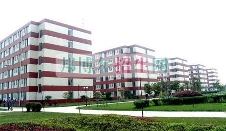 成都軟件技術(shù)比較好的大專學校