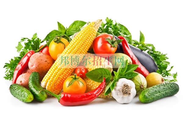 成都哪些高職院校有烹飪工藝與營(yíng)養(yǎng)