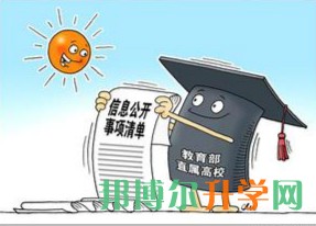 全國高考填報(bào)志愿系統(tǒng)