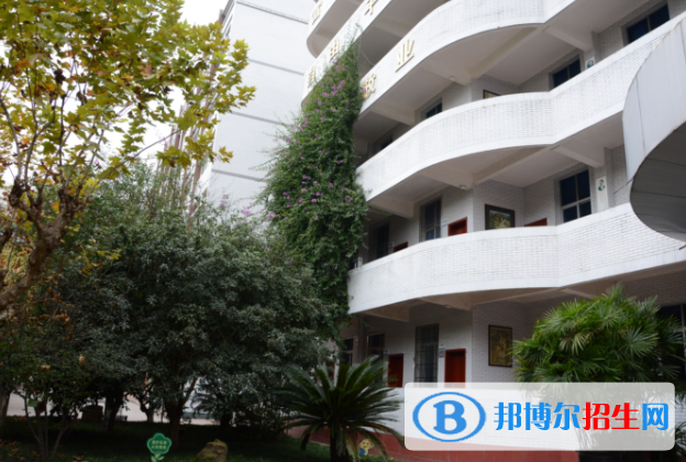 蒼溪實(shí)驗(yàn)中學(xué)職高部2018年報(bào)名條件、招生對(duì)象