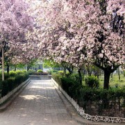 蘇州鐵路機械學(xué)校