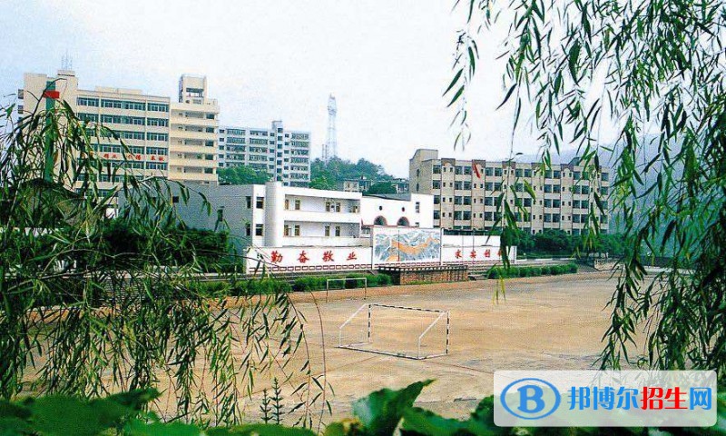 重慶財經(jīng)職業(yè)學(xué)院2019年單招錄取分數(shù)線