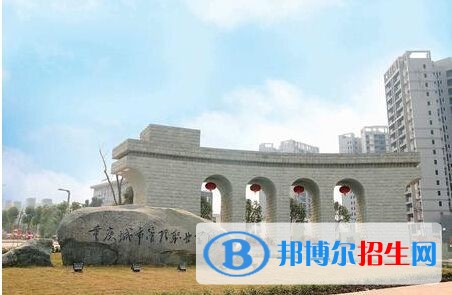 重慶城市管理職業(yè)學院2019年單招錄取分數線