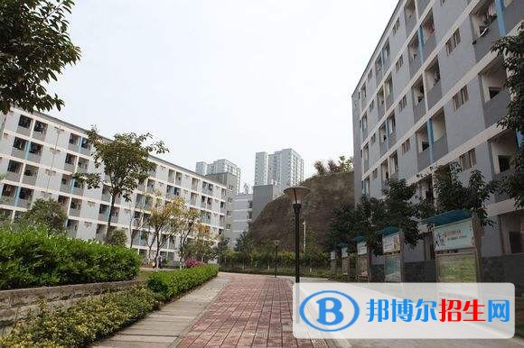 重慶城市管理職業(yè)學(xué)院?jiǎn)握袌?bào)名條件