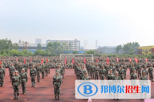 重慶交通職業(yè)學院單招報名條件