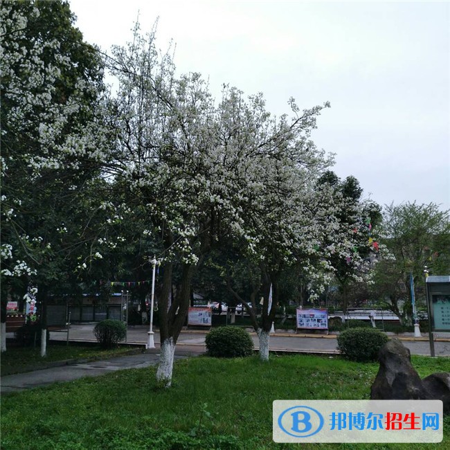 綿陽初中畢業(yè)能上中專學(xué)校嗎