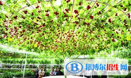 昆明讀中專學(xué)?？梢钥即髮W(xué)嗎