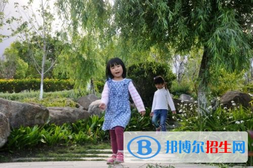 大理中專學校有哪些