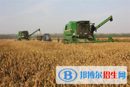 紅河初中畢業(yè)上中專學(xué)校好嗎