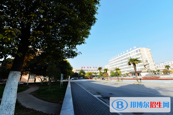 安徽礦業(yè)職業(yè)技術(shù)學院2019年單招錄取分數(shù)線