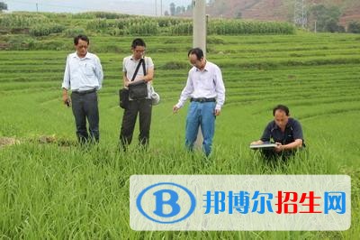 楚雄高中上什么中專學校好
