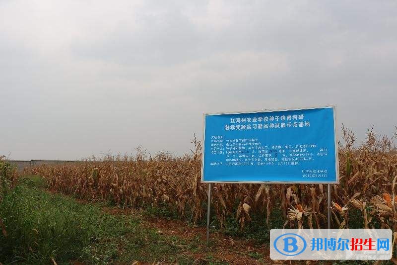 紅河中專學校有哪些專業(yè)