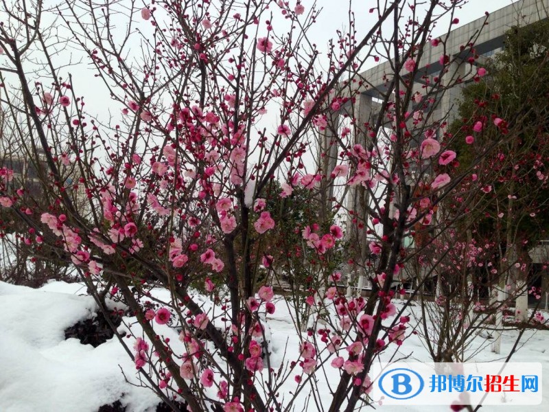 安徽廣播影視職業(yè)技術學院2019年單招錄取分數(shù)線