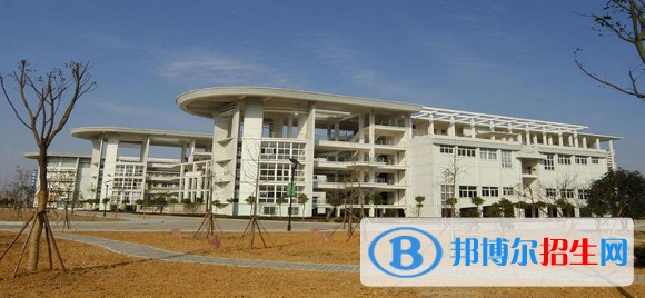 寧波職業(yè)技術學院2019年單招錄取分數(shù)線