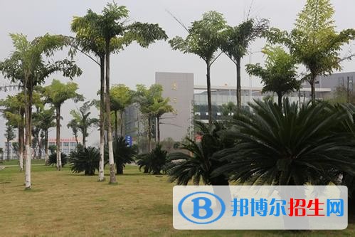 內(nèi)江讀中專(zhuān)學(xué)校好還是高中好