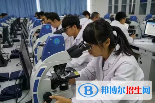 內(nèi)江中專學校有什么專業(yè)適合女生