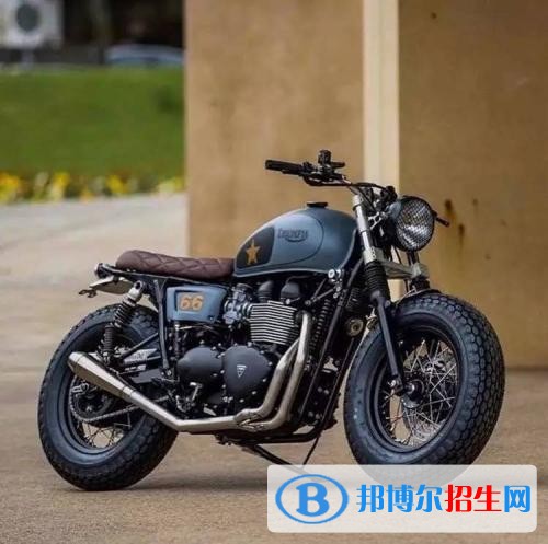 現(xiàn)代汽車、摩托車維修專業(yè) (4)