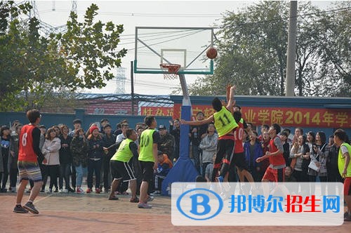 遼寧體育運動職業(yè)技術(shù)學院單招2019年單獨招生報名時間、網(wǎng)址入口