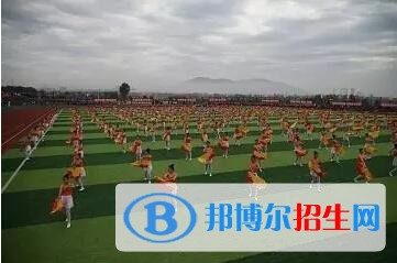 渤海船舶職業(yè)學(xué)院單招2019年單獨招生成績查詢、網(wǎng)址入口