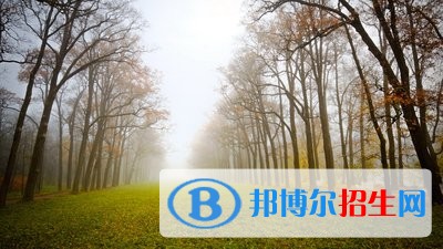 廈門興才職業(yè)技術學院單招2019年報名條件、招生要求、招生對象