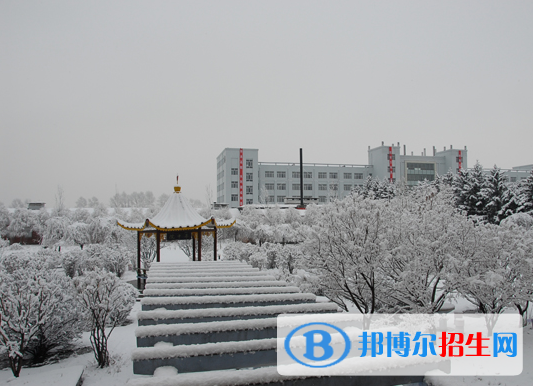 佳木斯職業(yè)學(xué)院單招2020年單獨(dú)招生成績查詢、網(wǎng)址入口 
