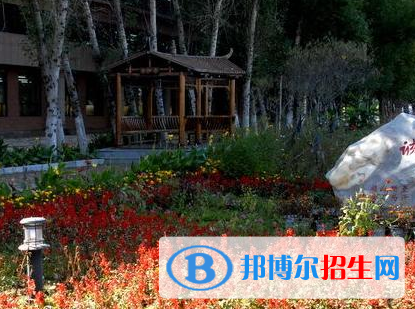 佳木斯職業(yè)學(xué)院?jiǎn)握?020年單獨(dú)招生報(bào)名時(shí)間、網(wǎng)址入口  