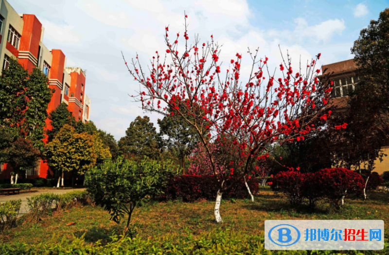 重慶萬(wàn)州技師學(xué)院地址在哪里