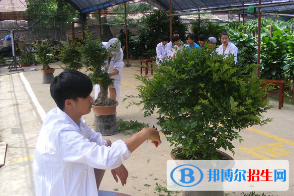 武漢農(nóng)業(yè)學校專業(yè)