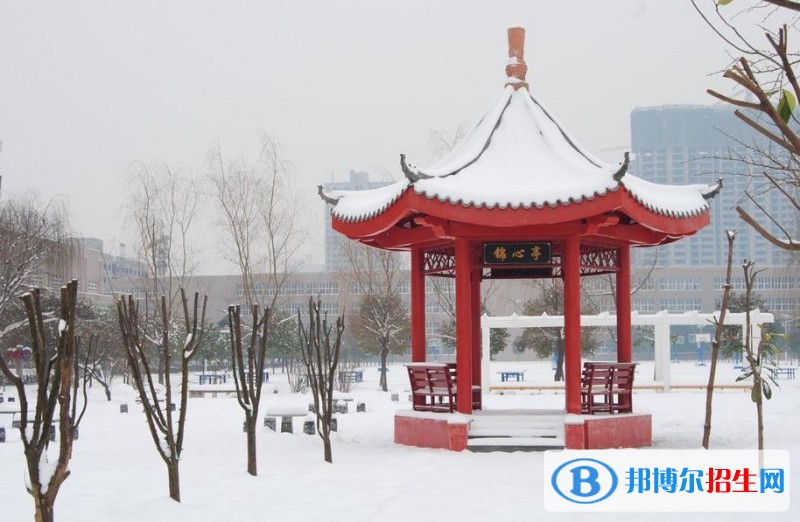 學校15