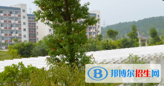 廣西賀州職業(yè)學院2020年報名條件、招生要求、招生對象 