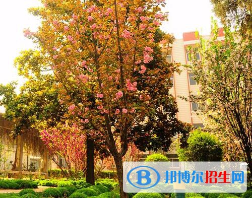 新鄉(xiāng)工業(yè)學(xué)校怎么樣、好不好