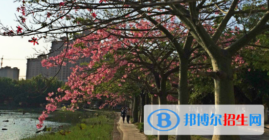 廣西經(jīng)濟(jì)職業(yè)學(xué)院2020年報(bào)名條件、招生要求、招生對(duì)象