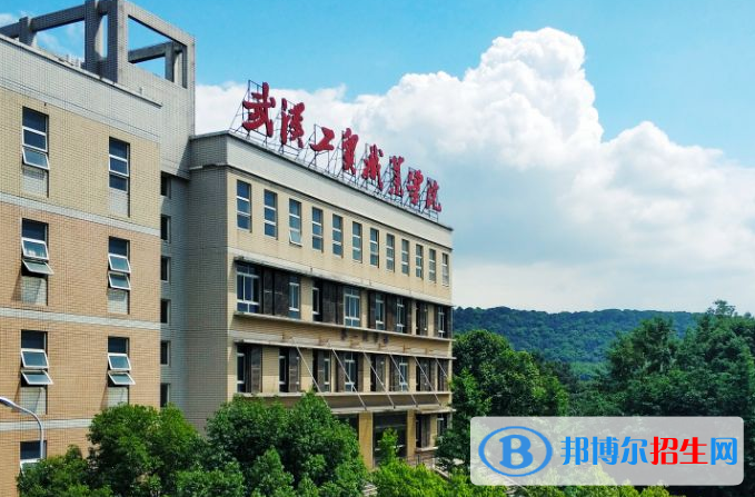 武漢工貿(mào)職業(yè)學院