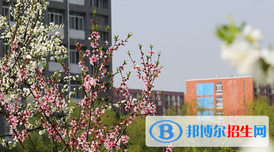 安徽新華學(xué)校2020年招生辦聯(lián)系電話 
