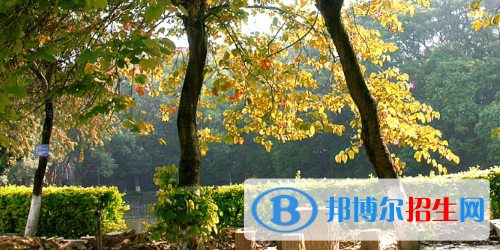 廣西民族中等專業(yè)學(xué)校2020年報名條件、招生要求、招生對象