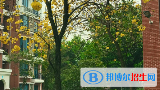 廣東碧桂園職業(yè)學(xué)院2020年學(xué)費、收費多少