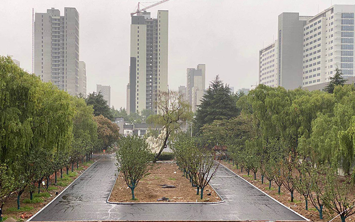 江蘇省新沂中等專業(yè)學(xué)校怎么樣、好不好