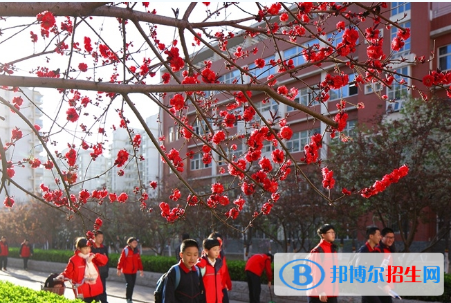 石家莊四十四中學(xué)2020年招生簡章