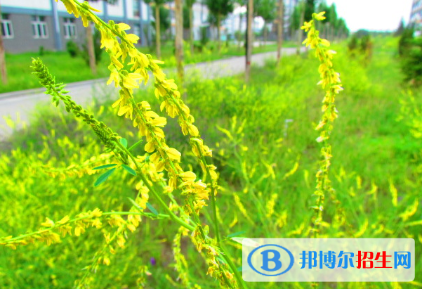 張北縣第一中學(xué)2021年怎么樣、好不好