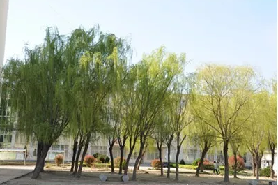 江蘇省金山中等專業(yè)學(xué)校怎么樣、好不好