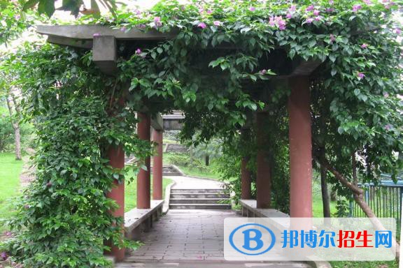重慶市墊江縣職業(yè)教育中心怎么樣、好不好