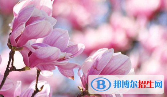 溫州藝術職業(yè)學校